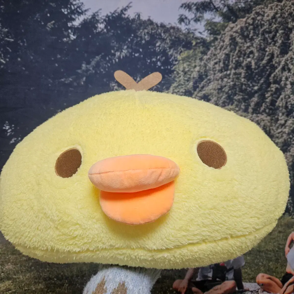 thumbnail-0
